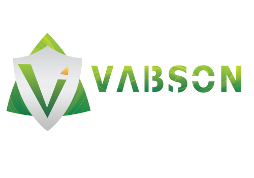 VABSON_Logo-removebg